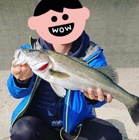 飲ませシーバス