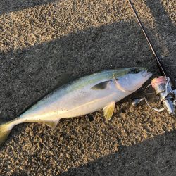 ショアジギング