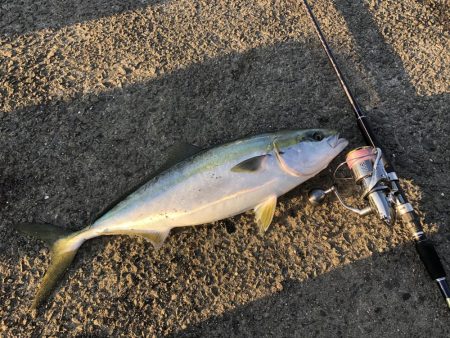 ショアジギング