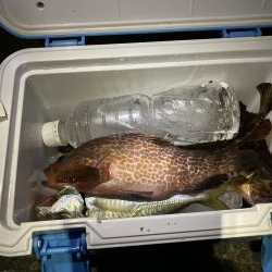 アジはダメでしたが