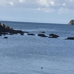 またまた太刀魚釣行