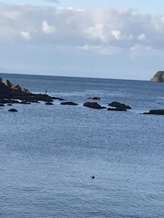 またまた太刀魚釣行