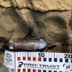 嬉しいかったけど…