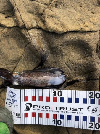 嬉しいかったけど…