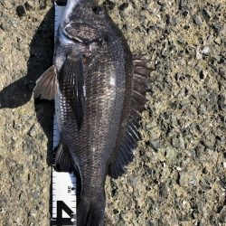 イチノ兄弟、釣果！