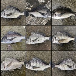 イチノ兄弟釣果!(弟)