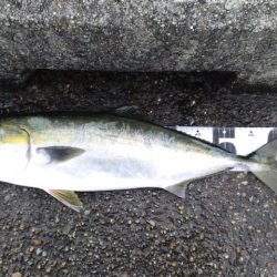 攻技競技玉ノ柄　死亡