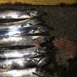 神戸良型タチウオ終始貸切り前夜祭