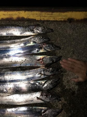 神戸良型タチウオ終始貸切り前夜祭