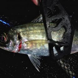 ボトムべったり