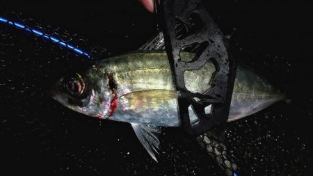 ボトムべったり