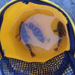 ファミリーフィッシング4