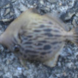 久しぶりの市役所裏