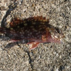 チャリ子も居ない