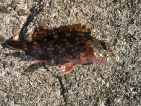 チャリ子も居ない