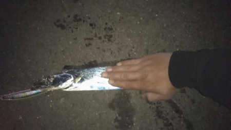 待ってました！