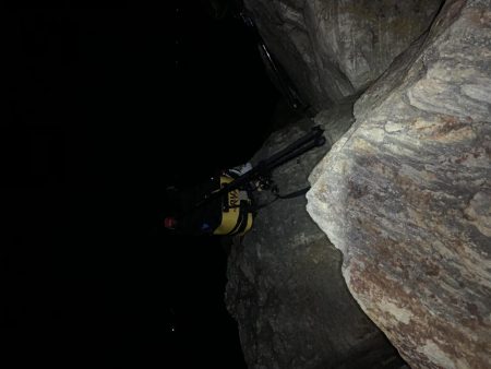 メジロは居らんのか?