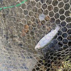 黒保根フィッシングエリア