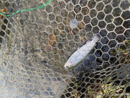 黒保根フィッシングエリア