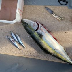 丹後沖ジギング