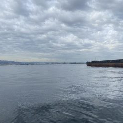 今は泳がせのが熱いんかな