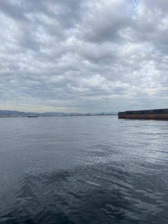 今は泳がせのが熱いんかな