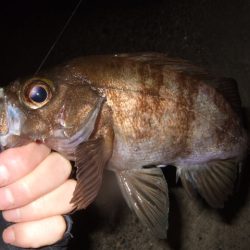 遠投してなんとかゲット
