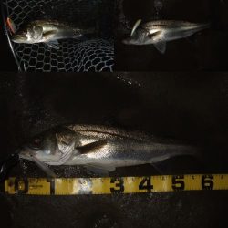 パターンを掴んで連発