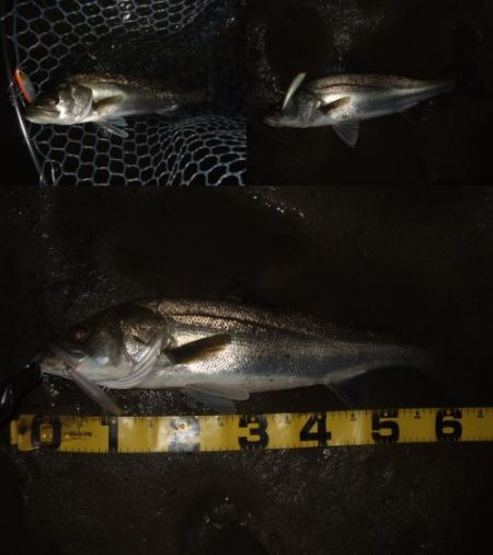 パターンを掴んで連発