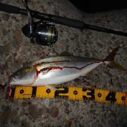 日没後に連続ヒット有り。