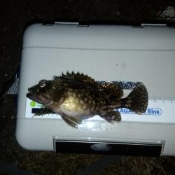 外出禁止の前に