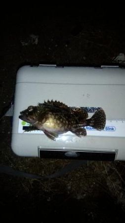 外出禁止の前に