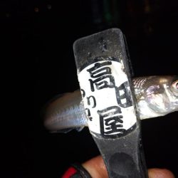 ライトキャロちょい投げ