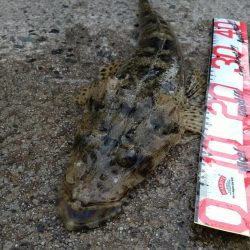 突然の引き‼️