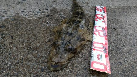 突然の引き‼️