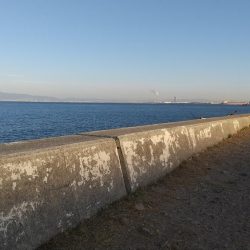 ショアジギング