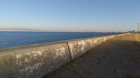 ショアジギング