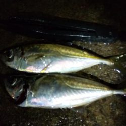 大半の時間無反応。