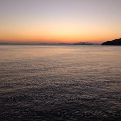 アジング、ショアジギ調査