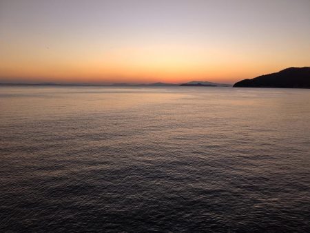 アジング、ショアジギ調査