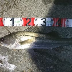 秋のハイシーズン