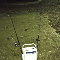 アジング&エギング