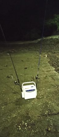 アジング&エギング