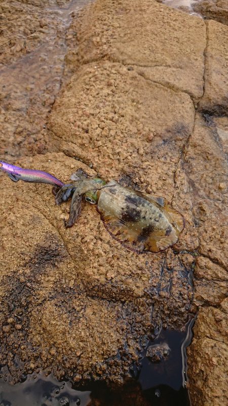 くやしいです( TДT)