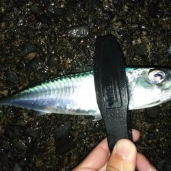 澄み潮を避けて