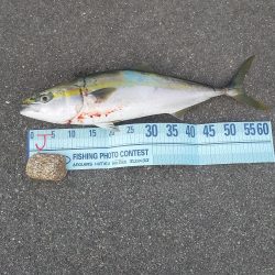 香良州海岸沖でゴムボートフィッシング