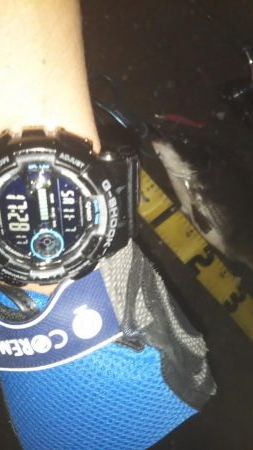 ぶら湾奥調査!!