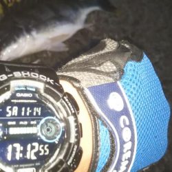 ぶら小河川調査!!