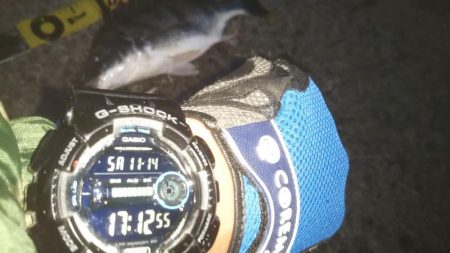 ぶら小河川調査!!