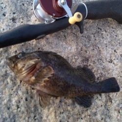 ライトロックで行こう